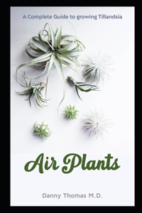 Air Plants