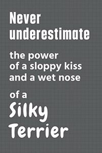 Never underestimate the power of a sloppy kiss and a wet nose of a Silky Terrier