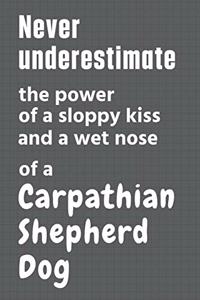 Never underestimate the power of a sloppy kiss and a wet nose of a Carpathian Shepherd Dog