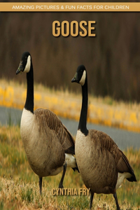 Goose