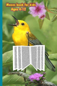 Mazes book For Kids Ages 4-12