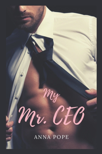 My Mr. CEO