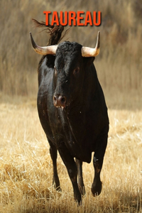 Taureau