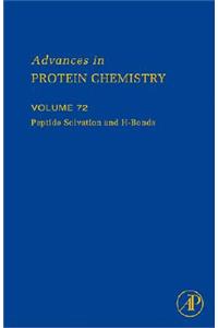 Peptide Solvation and H-Bonds