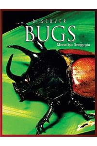 Discover Bugs
