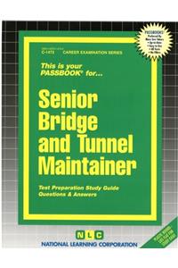 Senior Bridge and Tunnel Maintainer