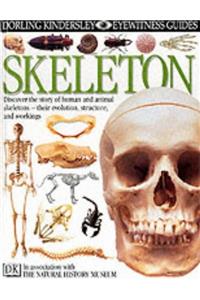 DK Eyewitness Guides:  Skeleton