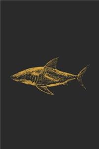 Shark Drawing