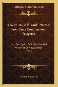 New Genus Of Fossil Cetaceans From Santa Cruz Territory, Patagonia