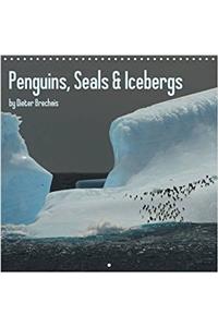 Penguins, Seals & Icebergs 2017