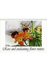 Rare and Enchanting Flower Visitors 2018