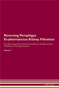 Reversing Pemphigus Erythematosus: Kidney Filtration The Raw Vegan Plant-Based Detoxification & Regeneration Workbook for Healing Patients.Volume 5
