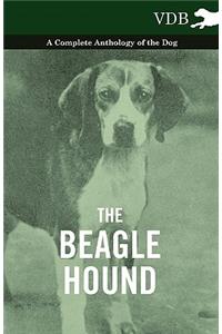 Beagle Hound - A Complete Anthology of the Dog -