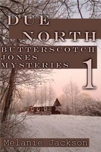 Due North: A Chloe Boston Mystery