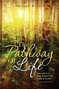 Pathway Of Life