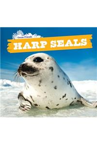 Harp Seals