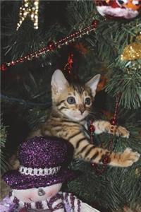 Christmas Kitten Journal