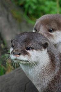 Otter Animal Journal: 150 Page Lined Notebook/Diary