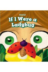 If I Were a Ladybug