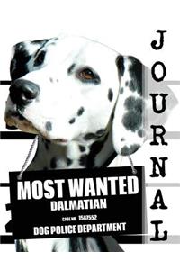 Most Wanted Dalmatian Journal