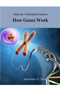 Help Me Understand Genetics