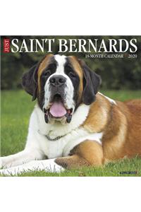 Just Saint Bernards 2020 Wall Calendar (Dog Breed Calendar)