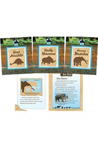Prehistoric Animals Set 2