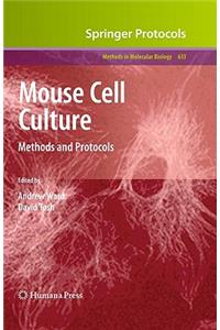 Mouse Cell Culture