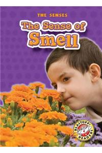 Sense of Smell