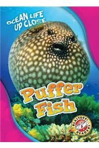 Puffer Fish