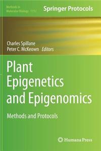 Plant Epigenetics and Epigenomics