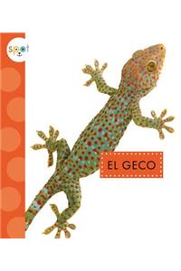 El Geco (Geckos)