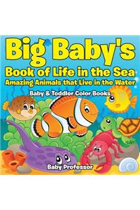 Big Baby's Book of Life in the Sea