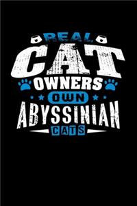 Real Cat Owners Own Abyssinian Cats
