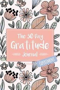The 30 Day Gratitude Journal Experiment for Beginners