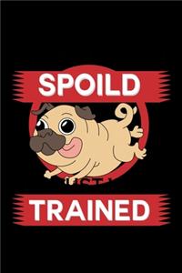 My Pug Isn't Spoiled I'm Just Well Trained