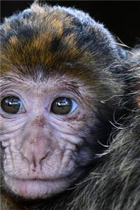 Monkey Notebook - Journal Gift for Cute Animal Lovers