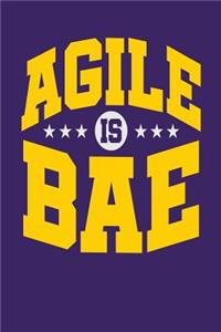 Agile is BAE