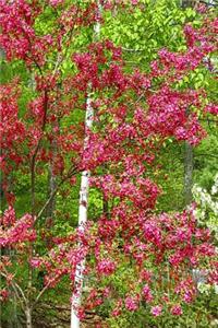 Springtime Trees 2019 Daily Planner 384 Pages
