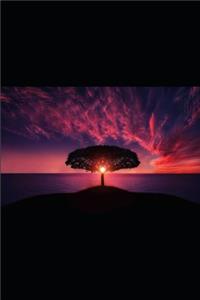 Naufragando En Las Arenas