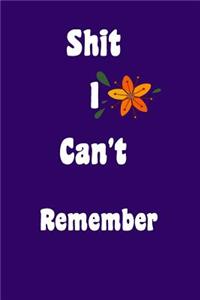 Shit I Can't Remember