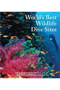 World's Best Wildlife Dive Sites