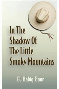 In the Shadow of the Little Smoky Mountains