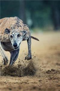 Greyhound Dog Running on the Track Journal