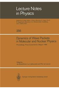 Dynamics of Wave Packets in Molecular and Nuclear Physics: Proceedings of the International Meeting Held in Priorij Corsendonck, Belgium July 2-4, 1985