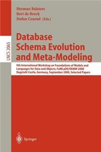 Database Schema Evolution and Meta-Modeling