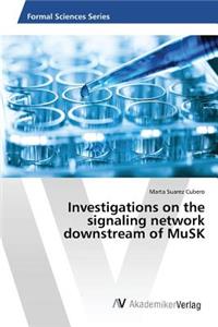 Investigations on the signaling network downstream of MuSK