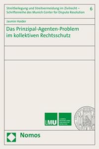 Das Prinzipal-Agenten-Problem Im Kollektiven Rechtsschutz