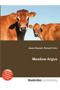 Meadow Argus