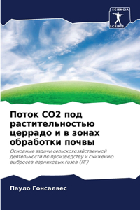 Поток Co2 под растительностью церрадо и в зо